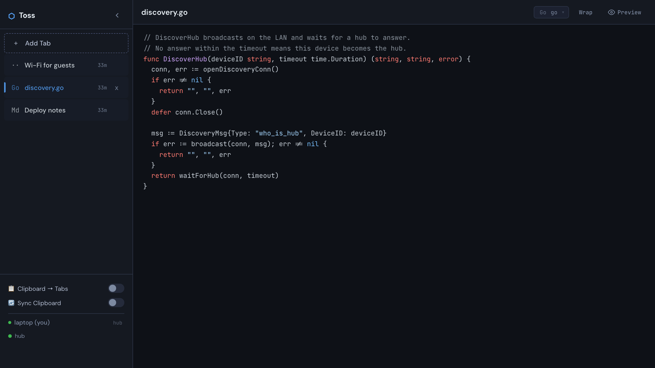 A Go snippet in a pane, highlighted